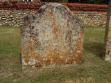 image of grave number 513384